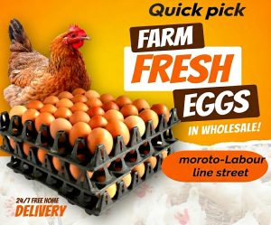 Local indigenous eggs