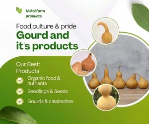Nakoi Farm Gourd and Gourd Products