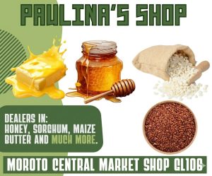 Paulina’s Shop – Premium Natural Staples