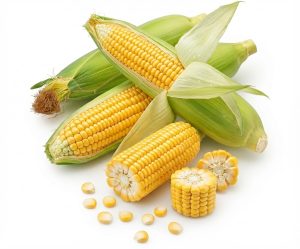 Maize
