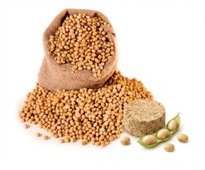 Soya Beans (bags)